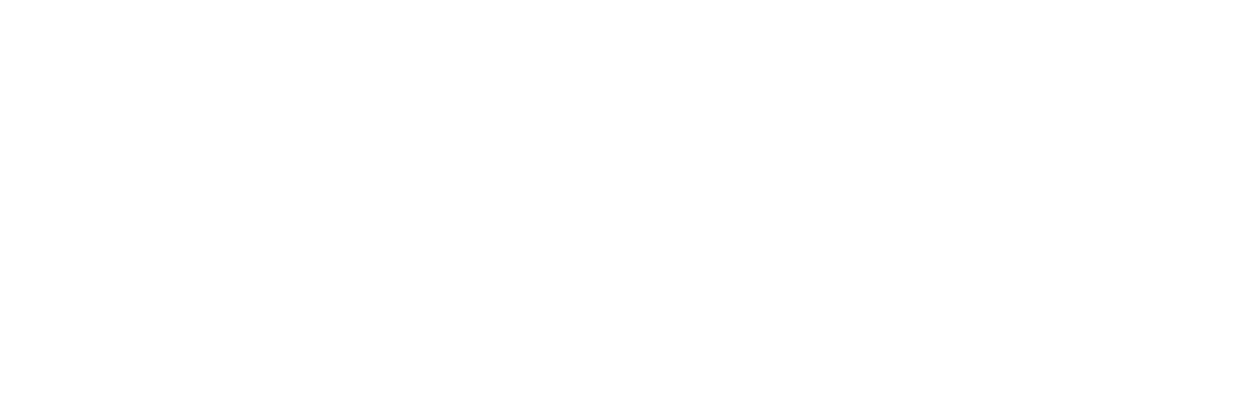 Silbersicht Logo